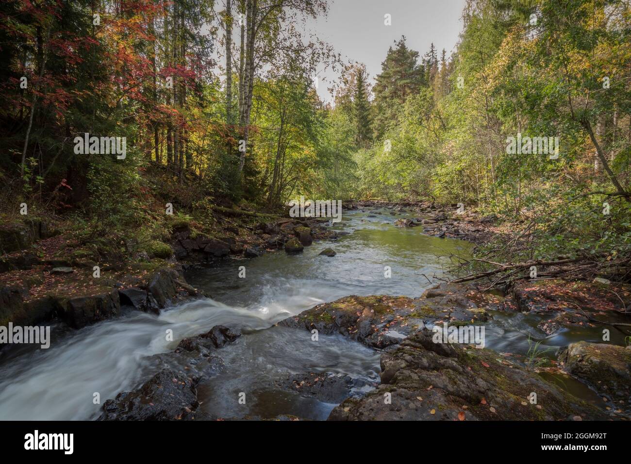 waterfall in a river forest landscape Stock Photo