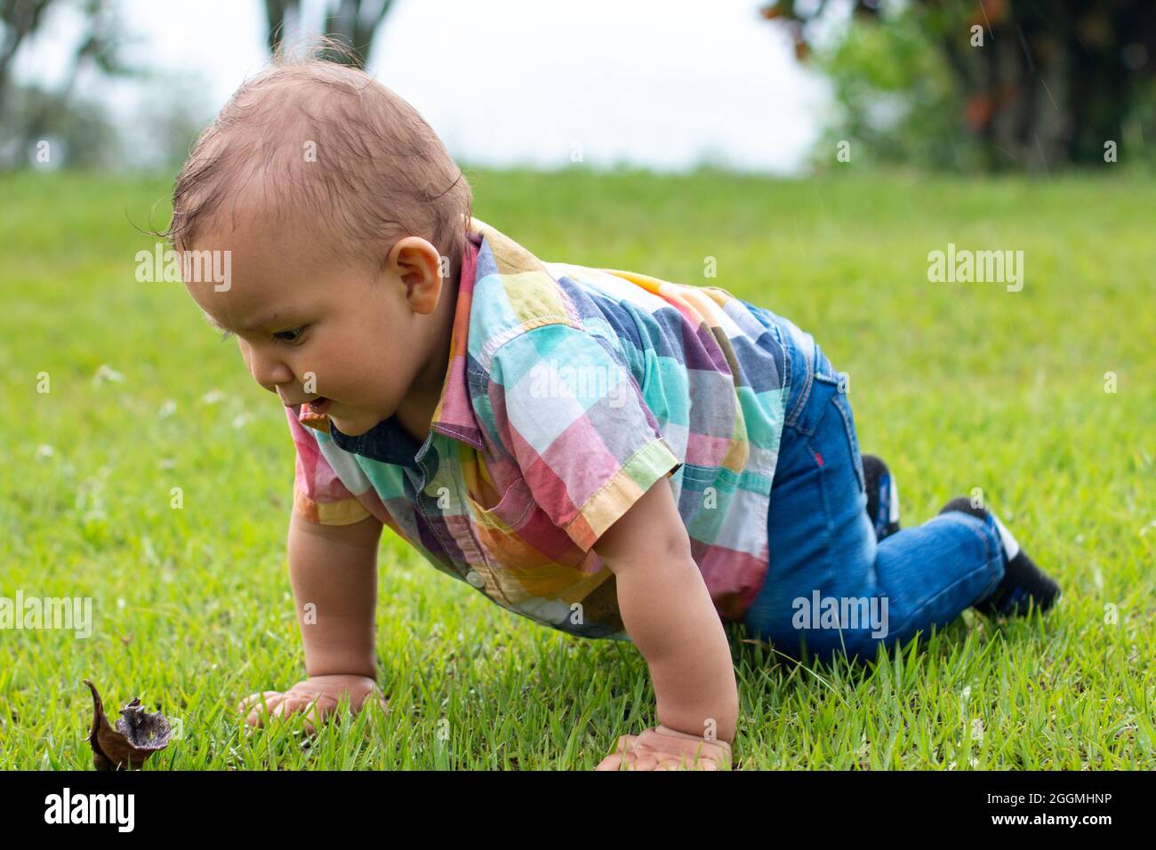 Baby crawling alone on the grass of a park surrounded by nature Stock Photo