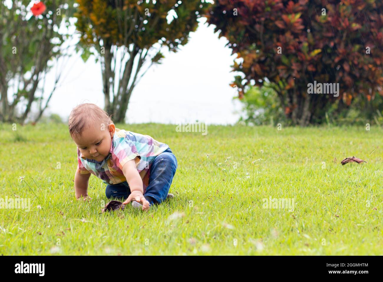 Baby playing alone on the grass of a park surrounded by nature.  Stock Photo