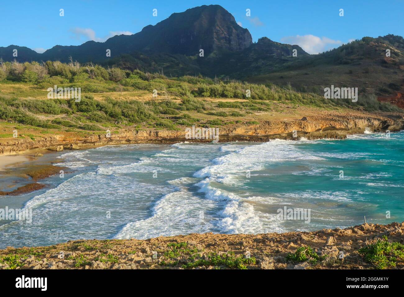 Baseball manager and umpire arguing Stock Photo Alamy
