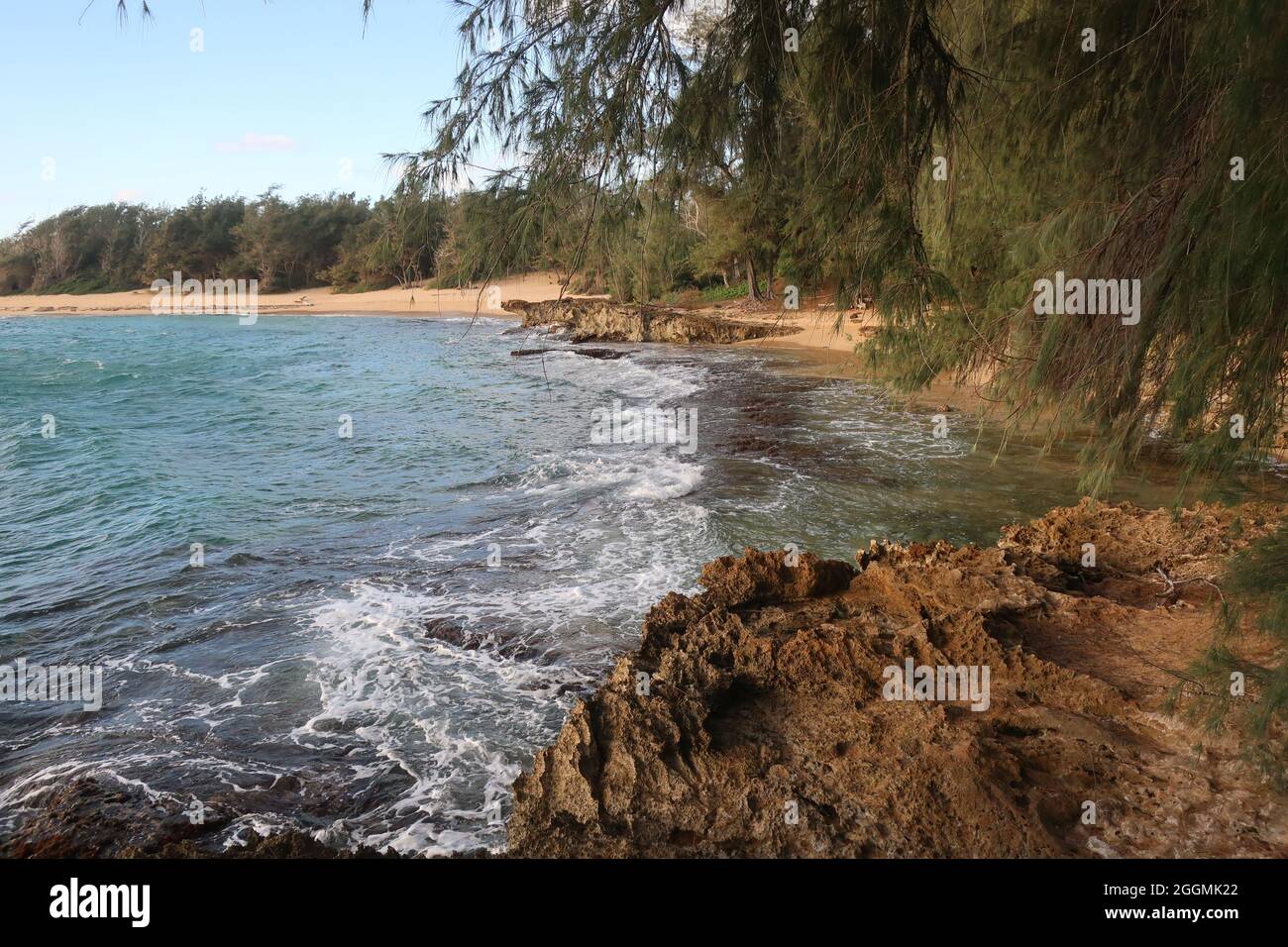 Baseball manager and umpire arguing Stock Photo Alamy
