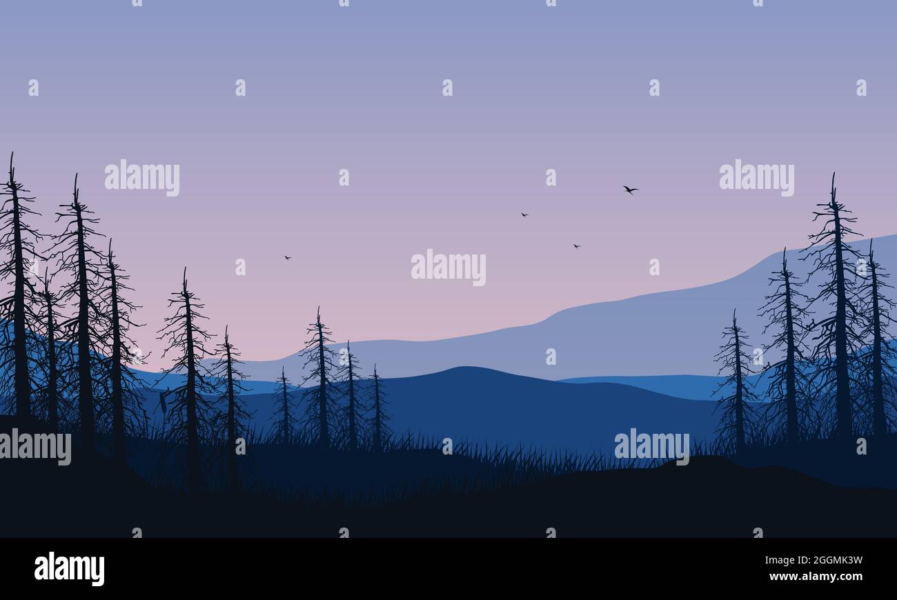 Pdusk Vector A fantastic view of the mountains with pine tree silhouettes from the ...