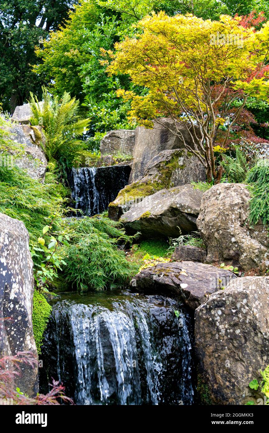 The waterfall at RHS Wisley, during mid summer. Stock Photo