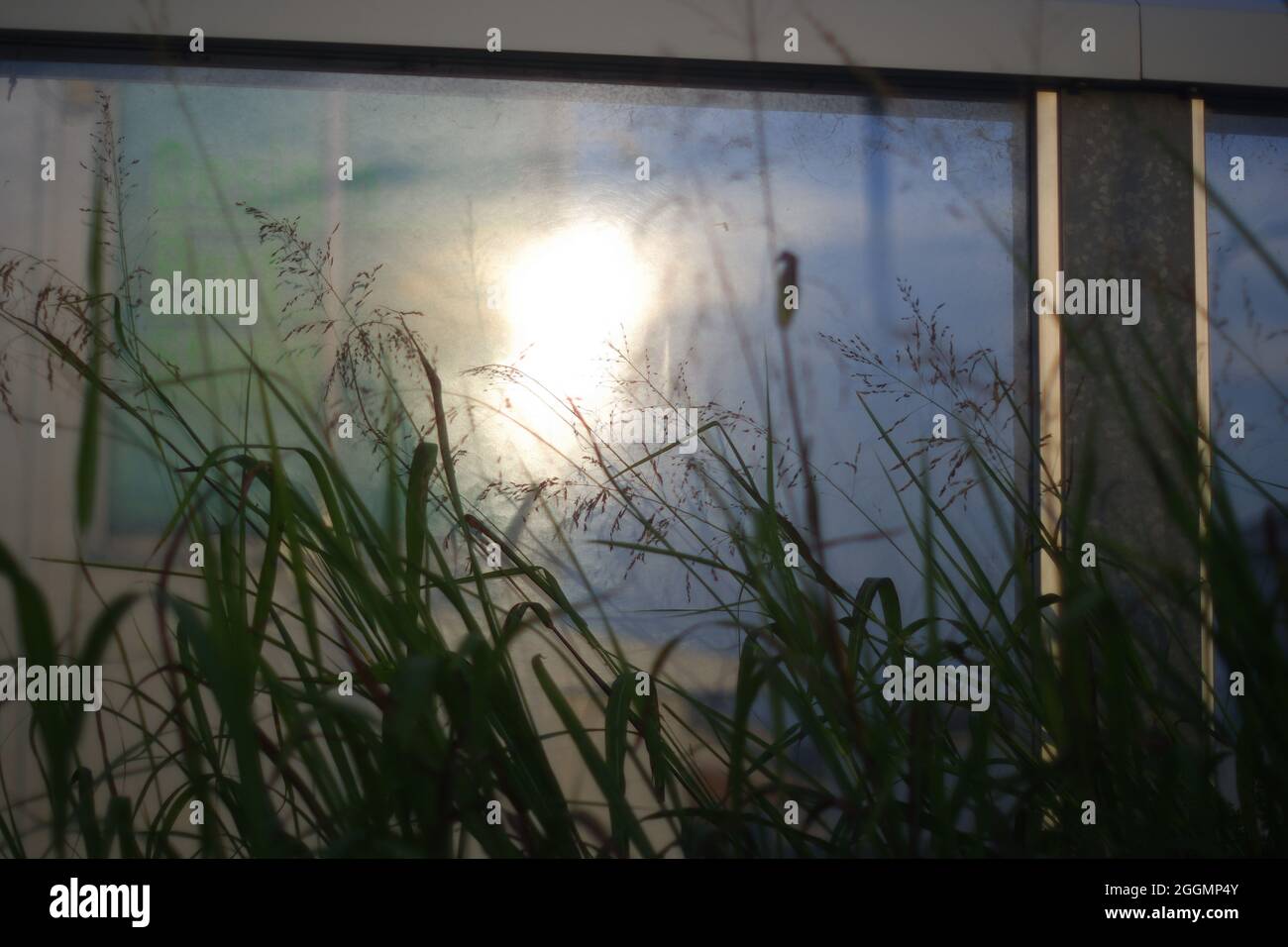 Late summer evening sunlight reflected  in the roadside polycarbonate noise barrier wall Stock Photo