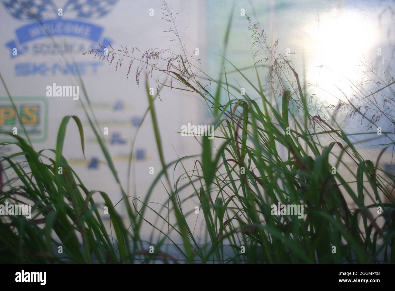 Late summer evening sunlight reflected  in the roadside polycarbonate noise barrier wall Stock Photo