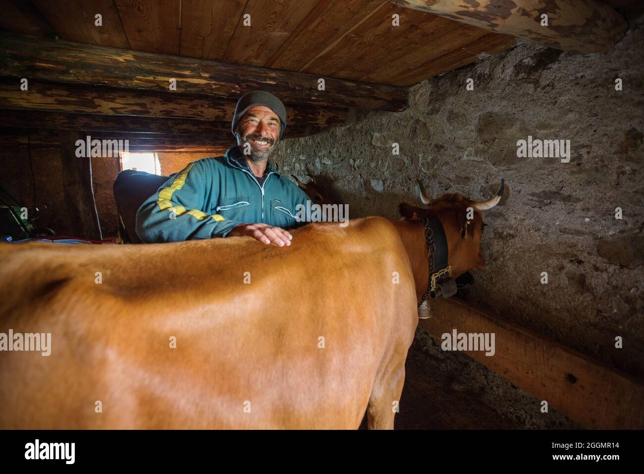 FRANCE. SAVOIE (73) FRENCH ALPS. HAUTE MAURIENNE VALLEY. MOUNTAIN FARM IN BESSANS REGION Stock Photo