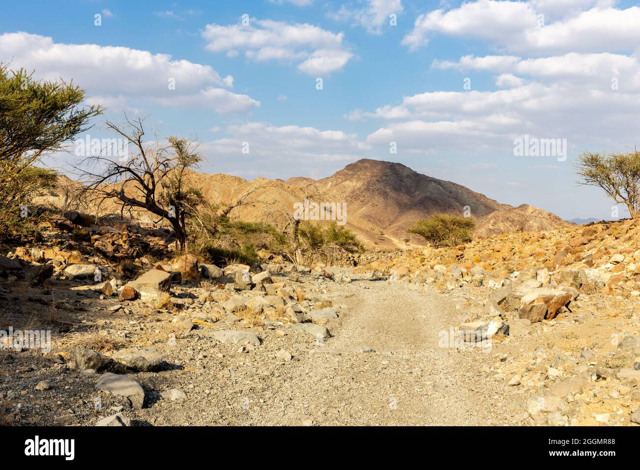 Copper Hike trail, winding gravel dirt road through Wadi Ghargur riverbed and rocky limestone Hajar Mountains in Hatta, United Arab Emirates. Stock Photo