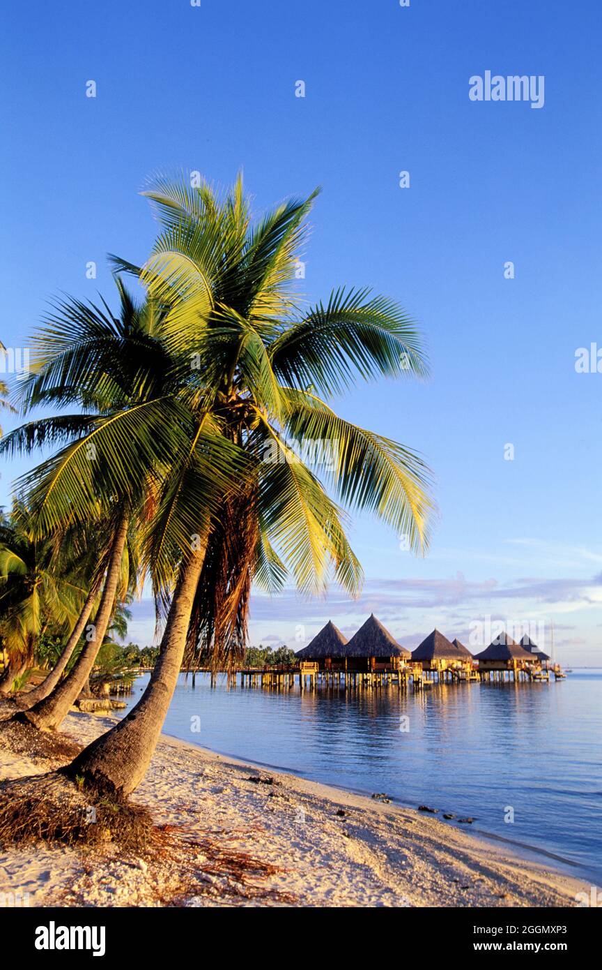 FRENCH POLYNESIA. TUAMOTU ARCHIPELAGO. RANGIROA ISLAND. KIA ORA HOTEL Stock Photo