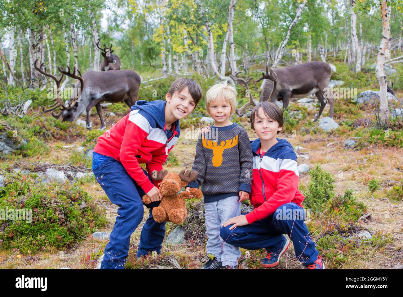 Kid Riding A Deer Happy children, brothers, taking pics with herde of rain deers in the ...