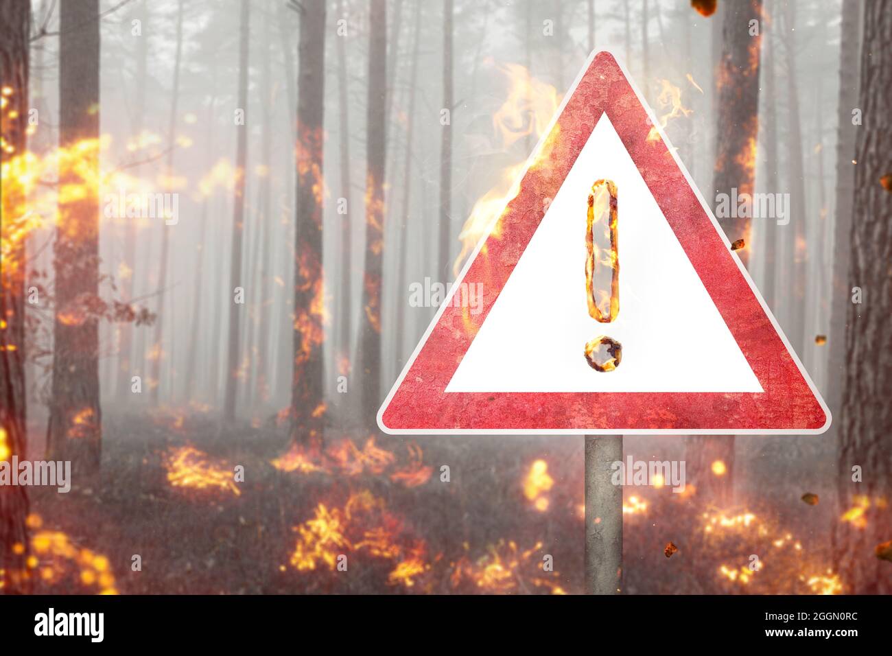 Warning sign in a burning forest Stock Photo
