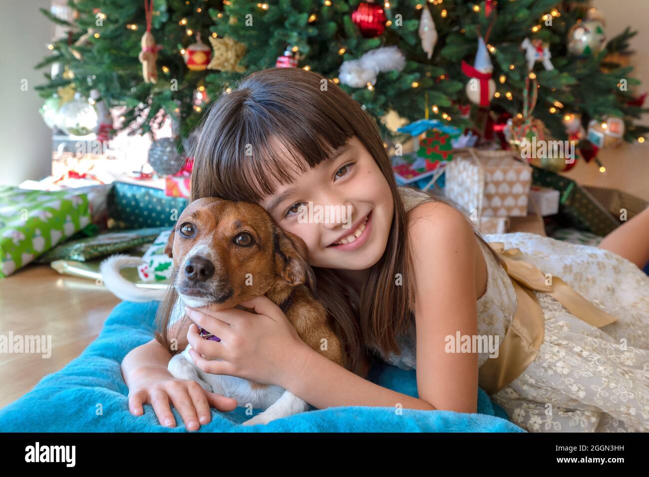 Eight year old girl and her dog in front of the Christmas tree Stock Photo