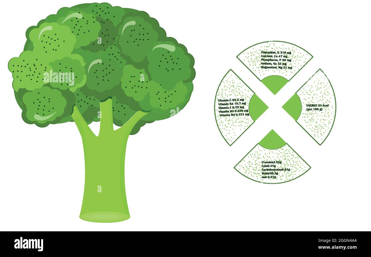 Broccoli Nutrient Infographics Vitamins Healthy Food Stock Vector Image