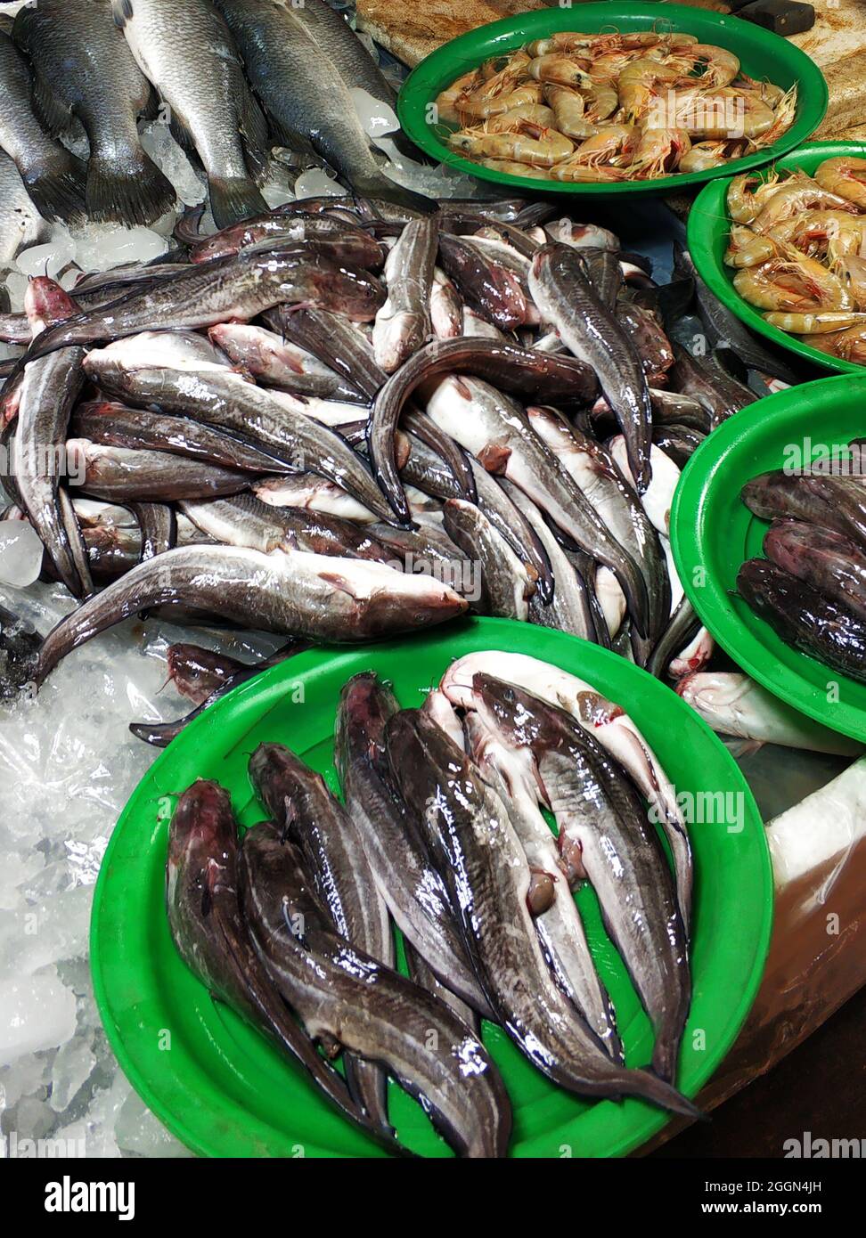 A counter with fresh fish at the fish market Stock Photo - Alamy
