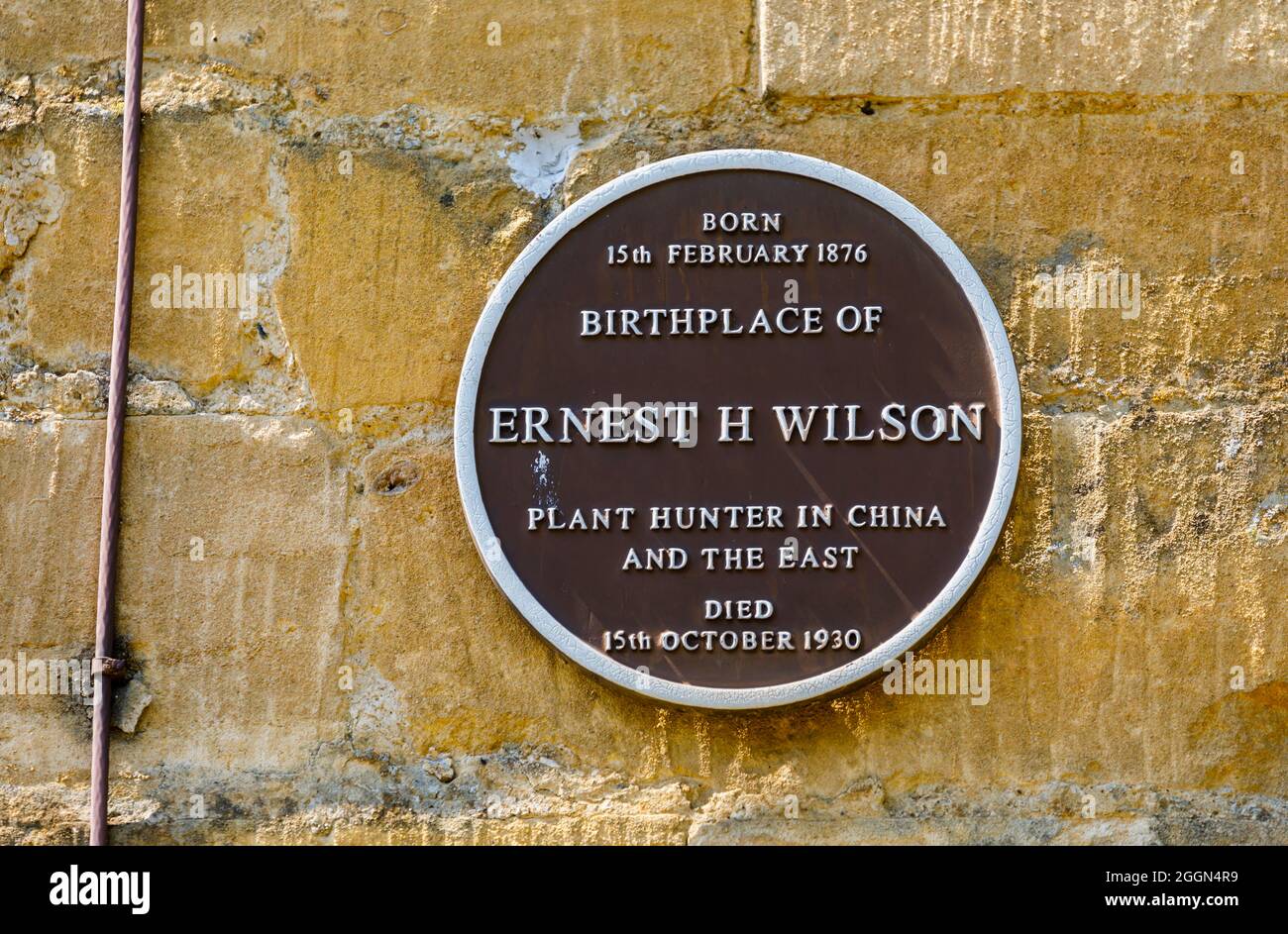 Grimwades WW 1 Plaque (JAS) Grimwades WW 1 Plaque (JAS)