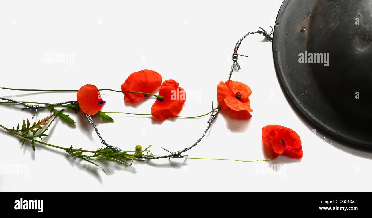 remembrance of doomed youth world war 1 helmet and barbed wire and poppy Stock Photo