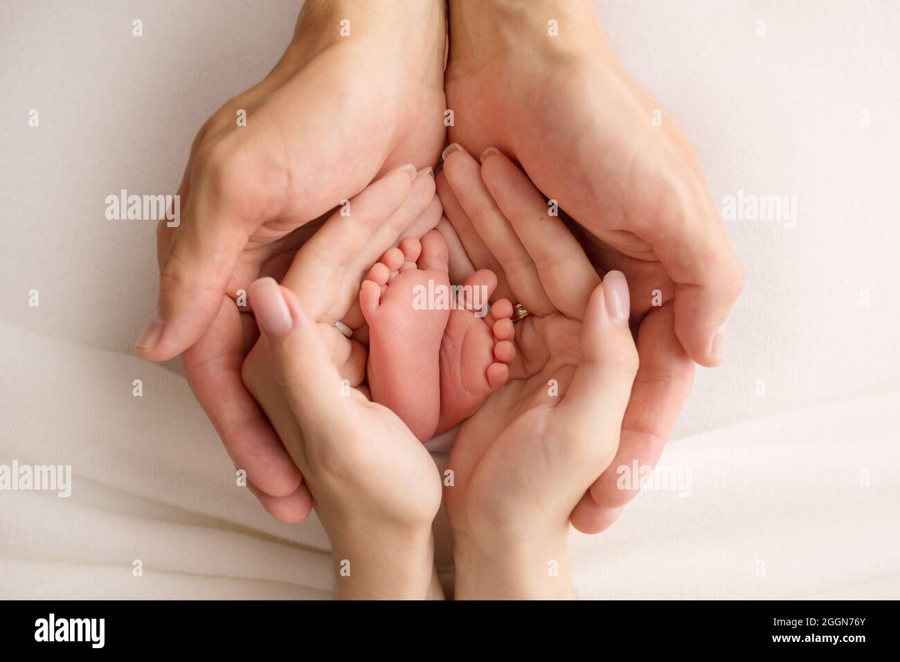 https://c8.alamy.com/comp/2GGN76Y/the-legs-of-the-child-in-the-arms-of-our-mother-and-father-feet-of-a-newborn-baby-little-baby-legs-2GGN76Y.jpg