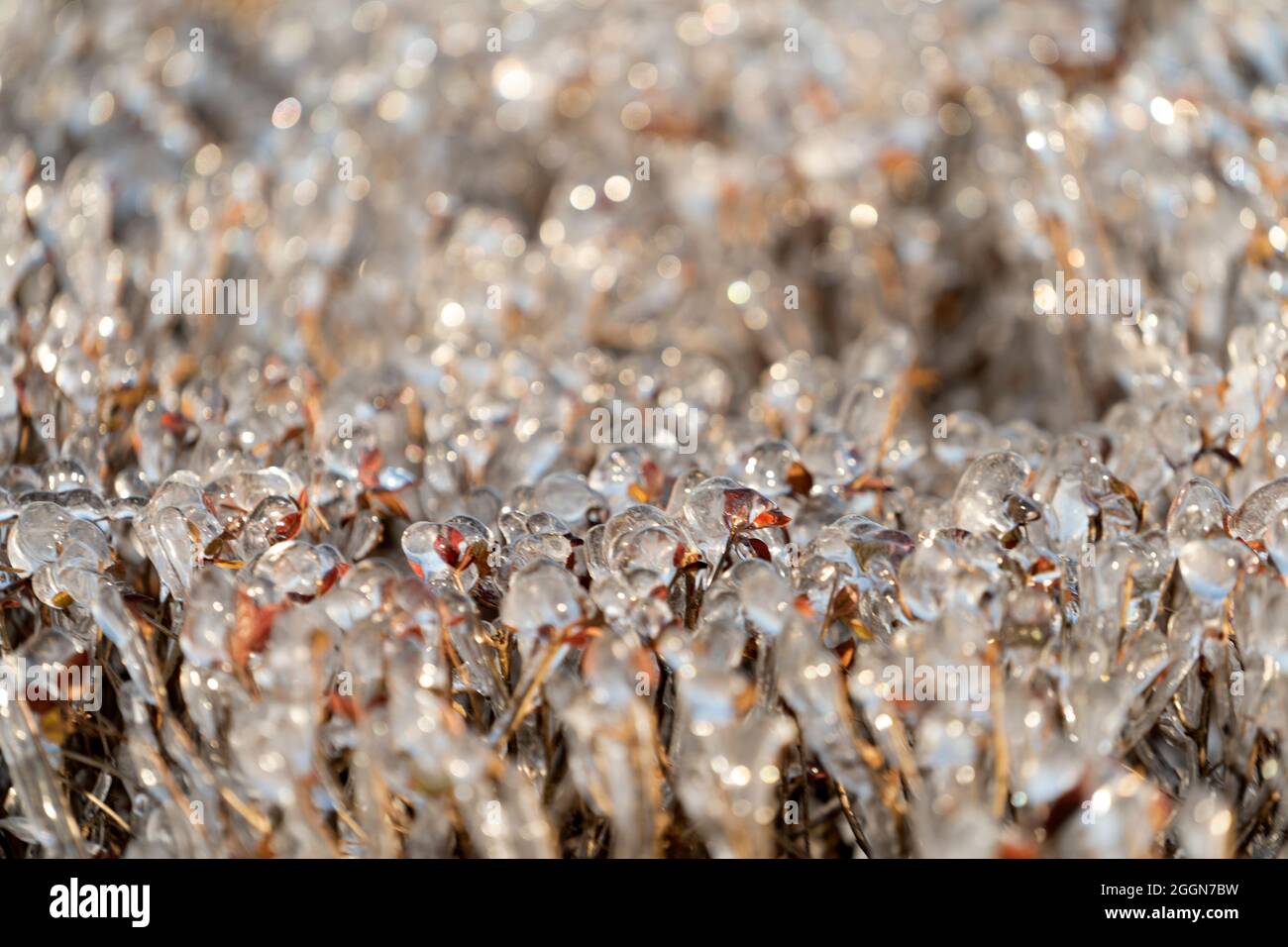 Bokeh background natural hi-res stock photography and images - Alamy