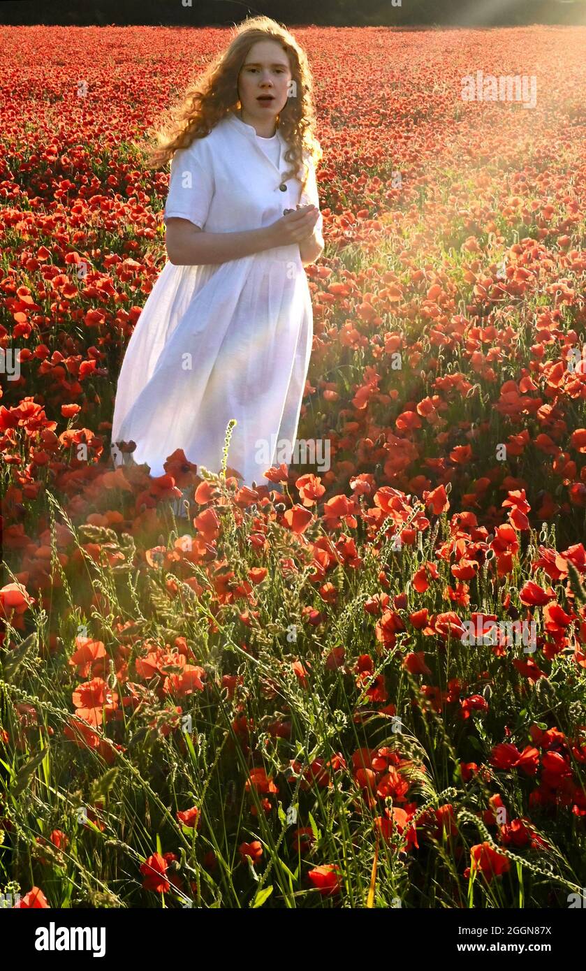 teenage girl with long red hair wearing a white dress in a poppy field with evening sun rays. Stock Photo