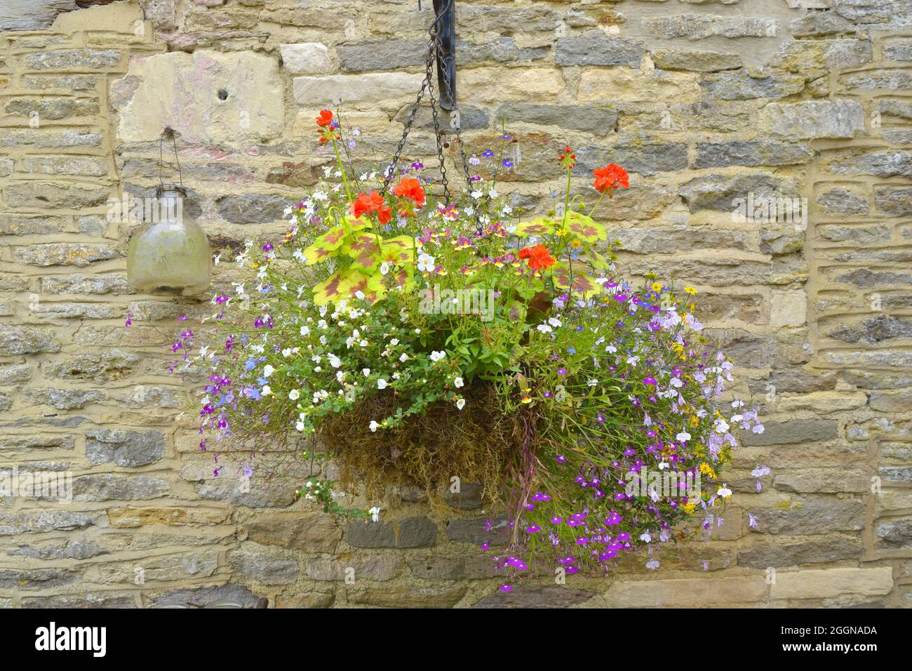 Hanging basket flower london hi-res stock photography and images - Alamy