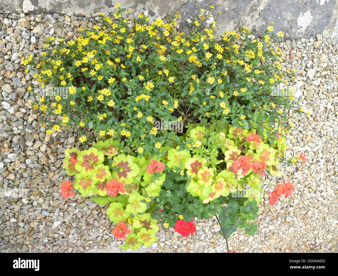 Gorgeous Autumn colours flower basket. Stock Photo