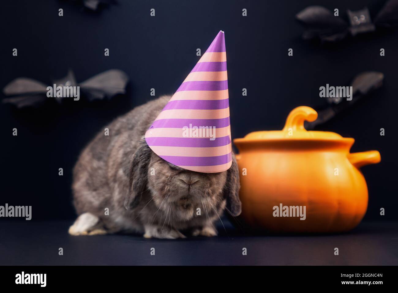 Halloween. A decorative lop-eared rabbit in a festive paper hat with a ...