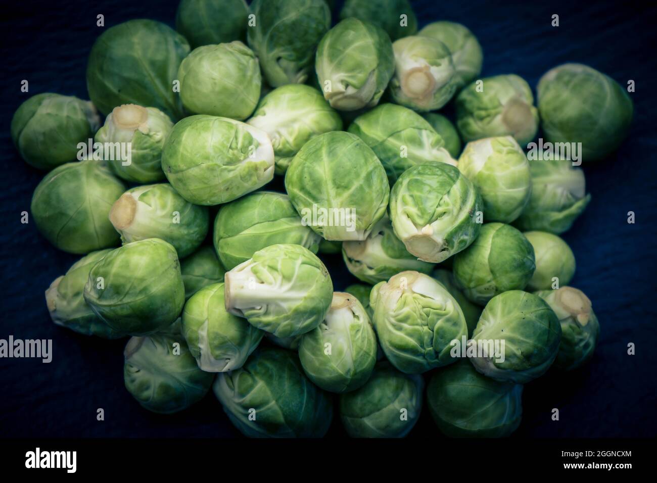 green brussel sprouts brassica oleracea Stock Photo Alamy