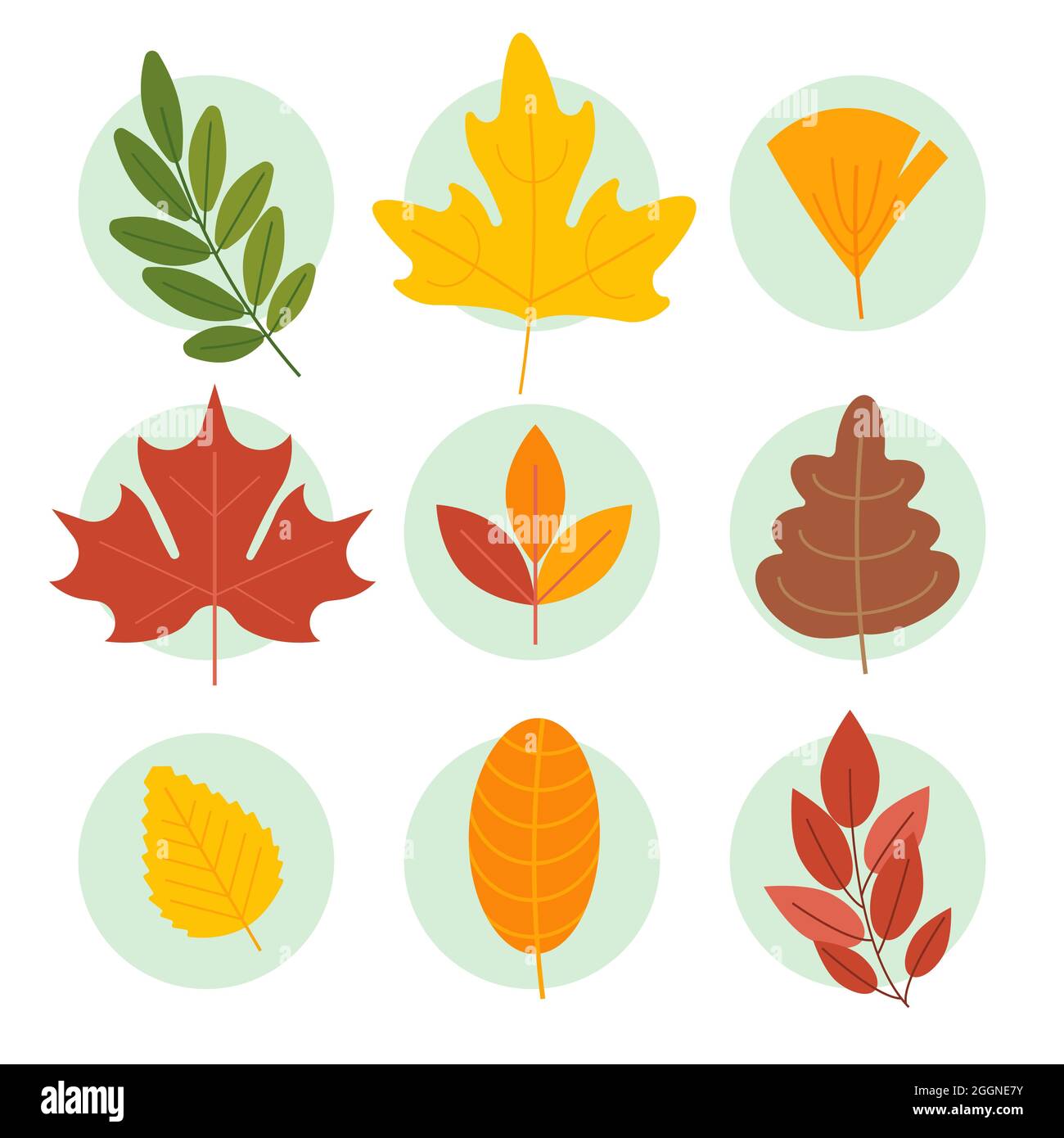 Autumn leaves collection Vector illustration Stock Vector Image & Art ...