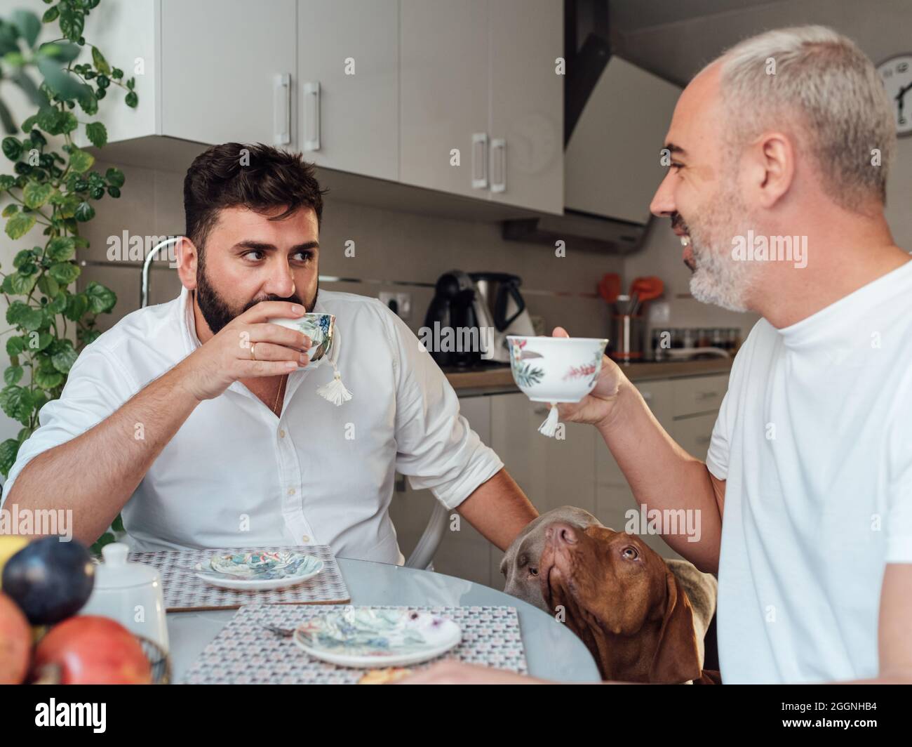 Two gay boys drink coffee sitting at their kitchen table while being watched by their purebred dogs. Stock Photo