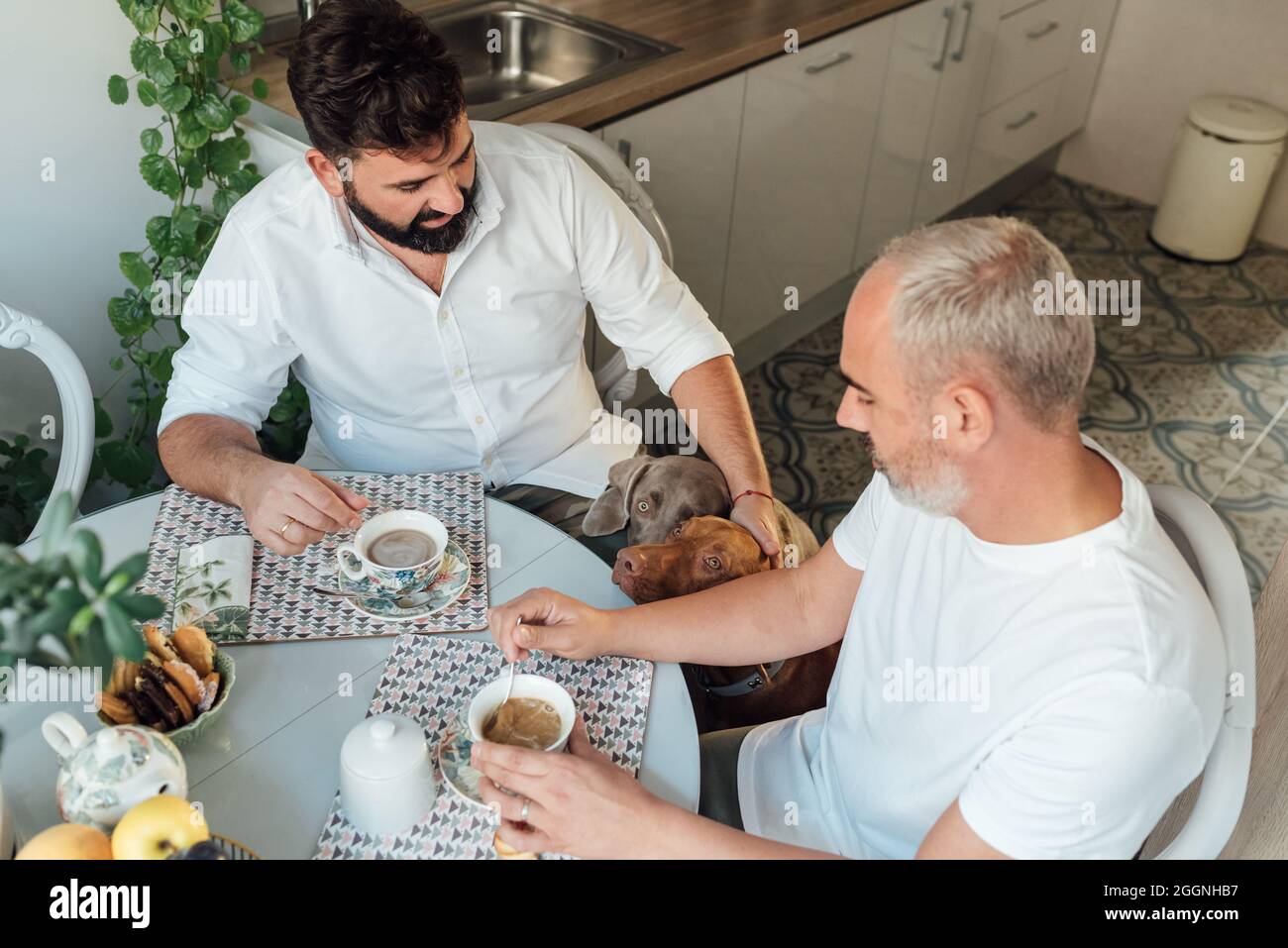 Gay couple drinking coffee in their kitchen with their two purebred dogs. Tea time at the home of a family with animals. Stock Photo