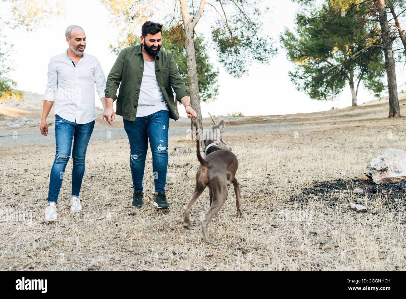 The happy gay couple plays with their dogs outside. Lgtb family ...