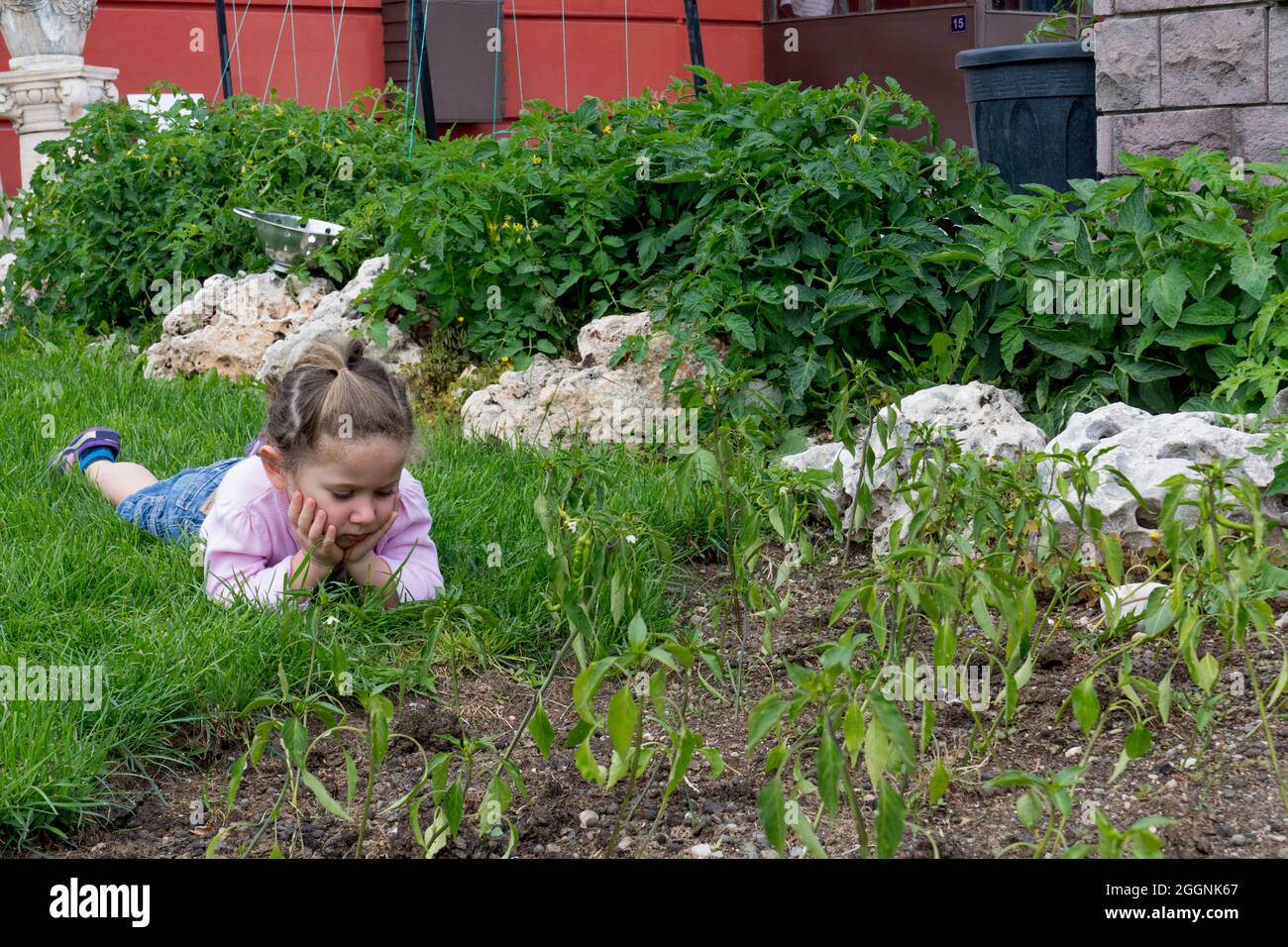 little girl lies on the grass. Selective Focus. isolated. copy space Stock Photo