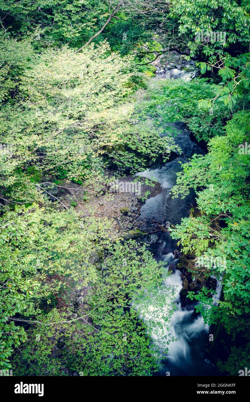 Beautiful river with forest summer season in japan.slow shutter . best natural place by Tharanga Stock Photo