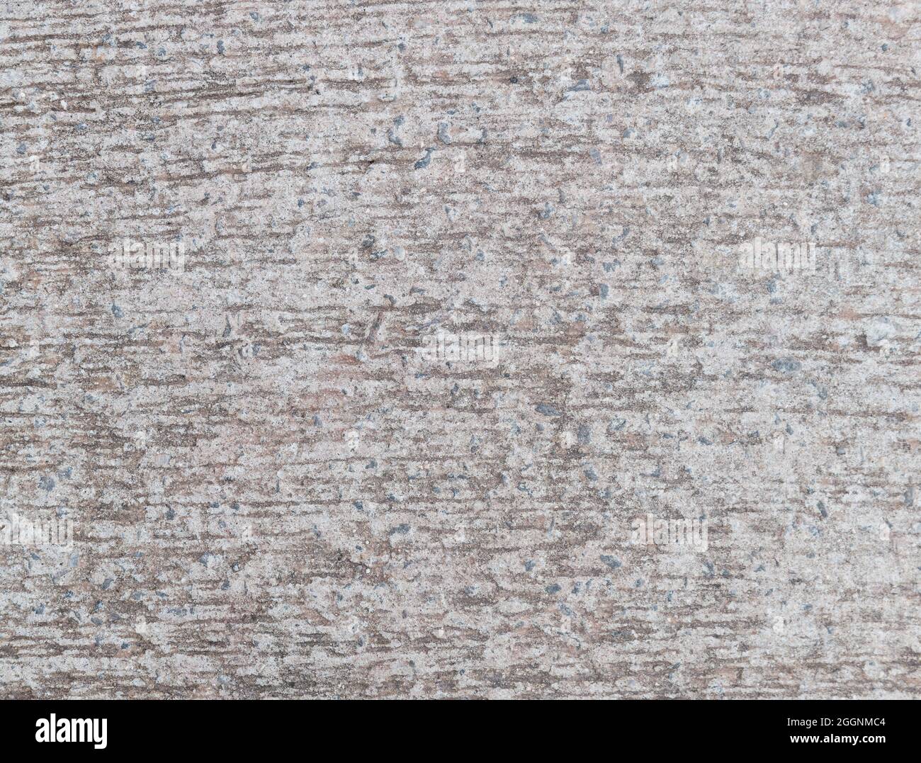 Rustic textured light grey cement wall. Concrete backdrop. Stock Photo