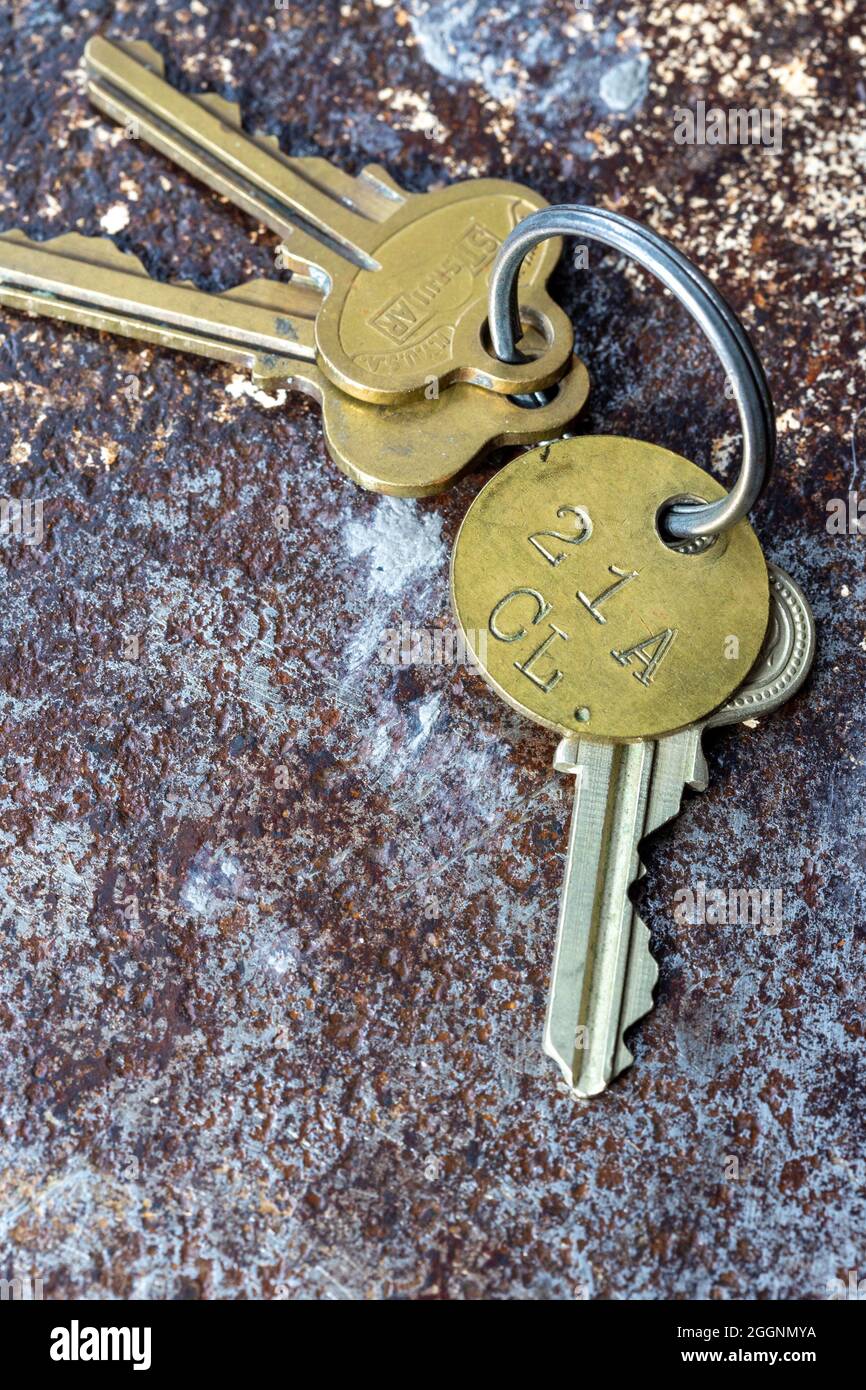 Vintage Keys on a Split Ring Stock Photo