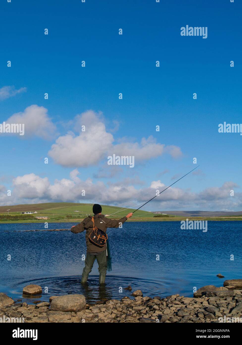 Fly fishing for brown trout, Orkney Isles Stock Photo Alamy
