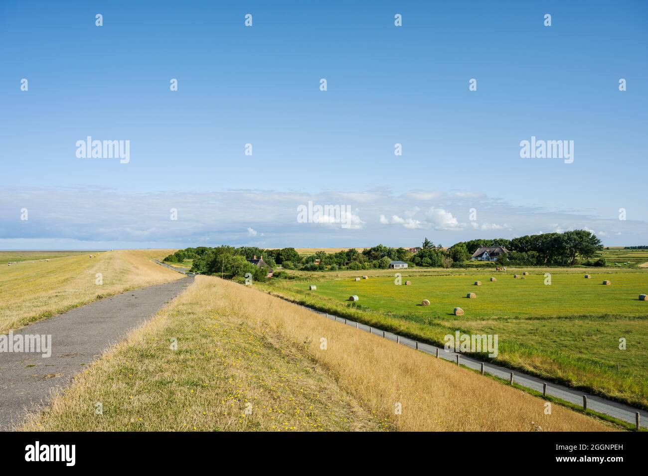 Deich an der Nordseeküste, dahinter ein Bauernhof und grüne Weiden Stock Photo