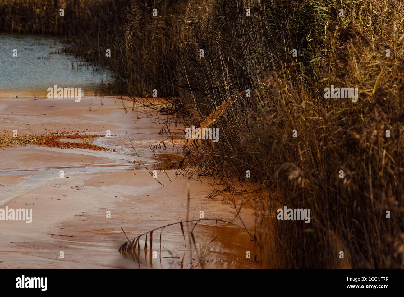 the pipe discharges waste into the water. contamination of the