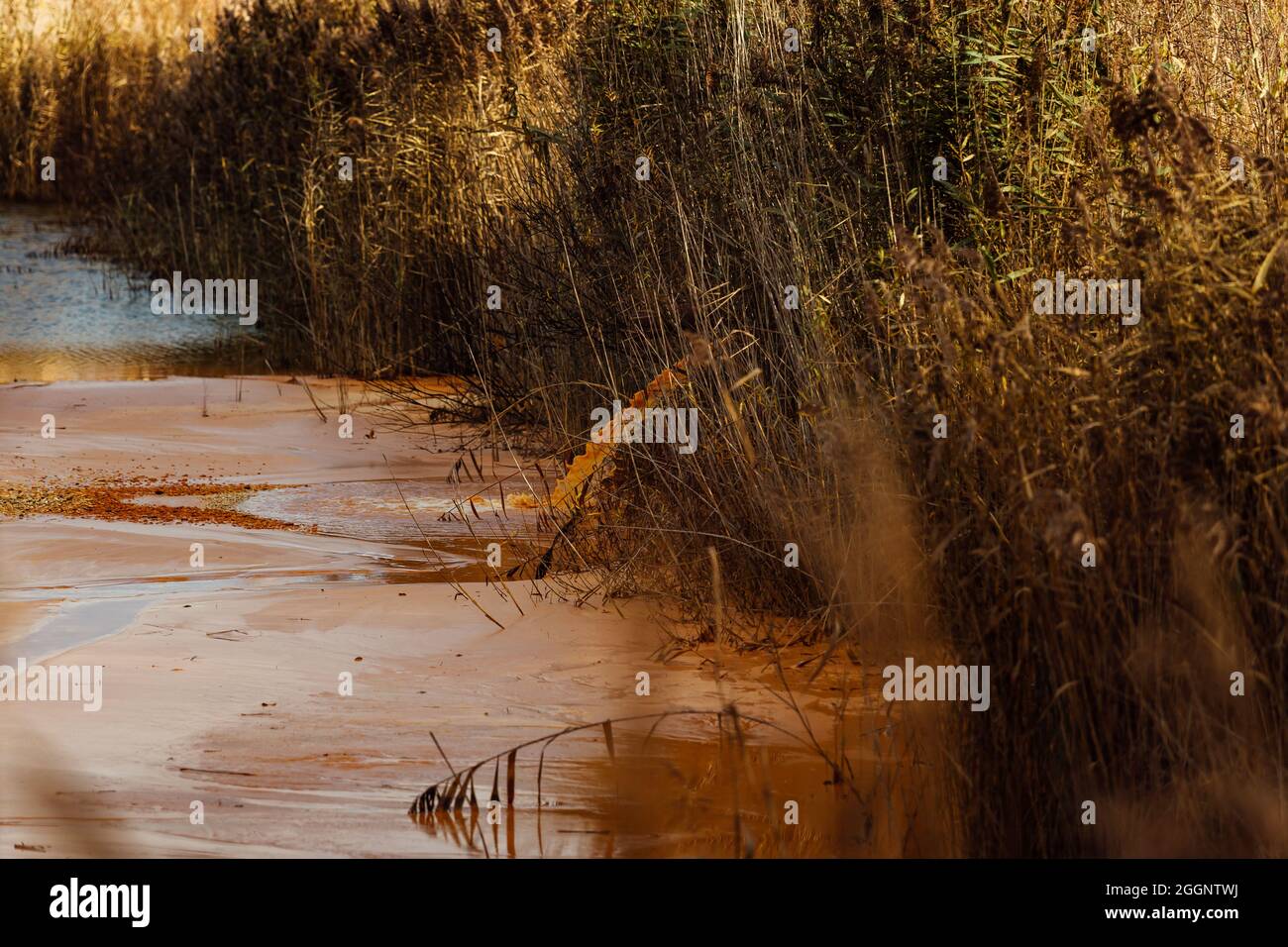 the pipe discharges waste into the water. contamination of the