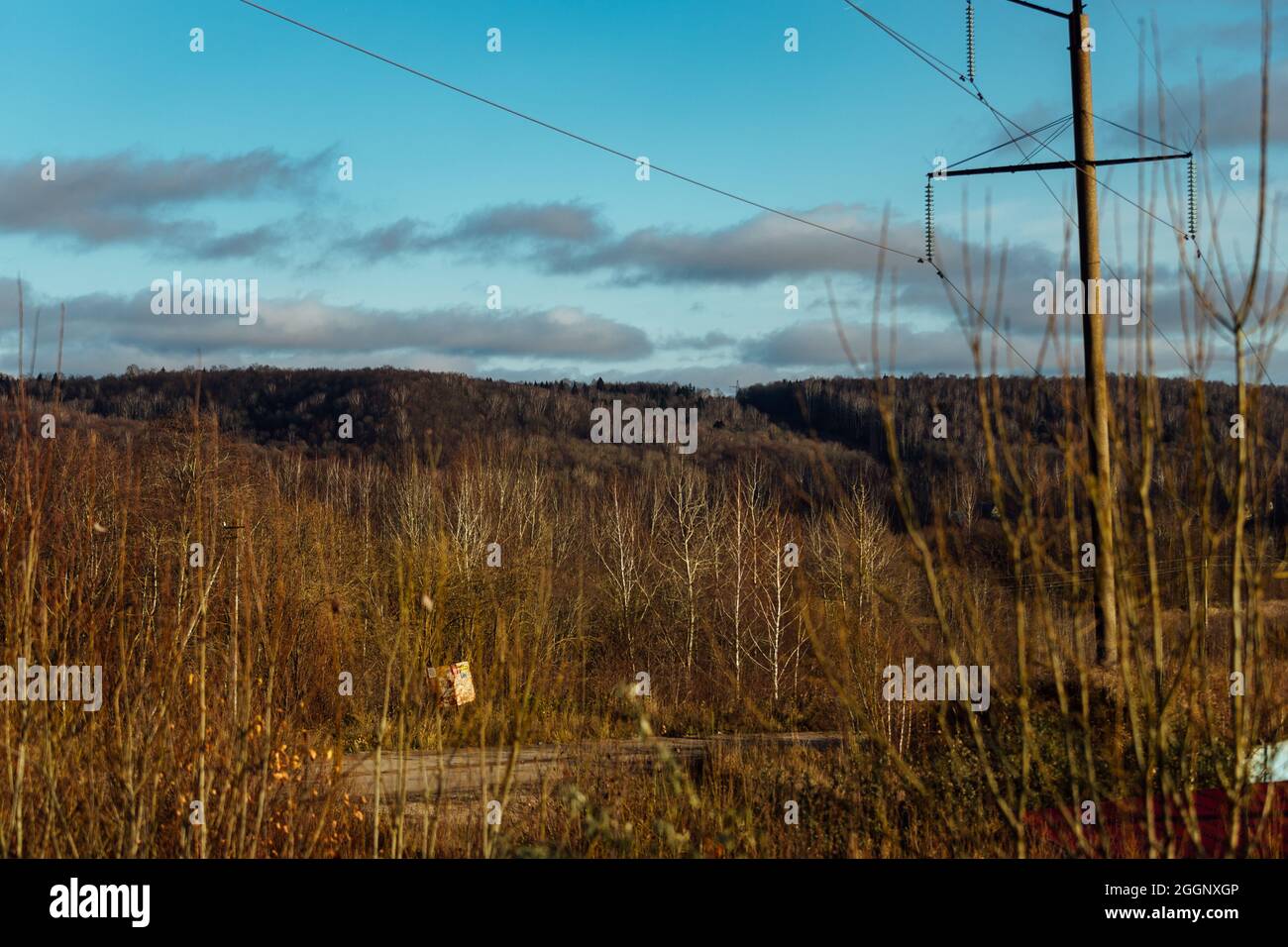 autumn industrial landscape. forest in the period of leaf fall and abandoned industrial buildings. power lines in the suburbs. workshops of the old fa Stock Photo