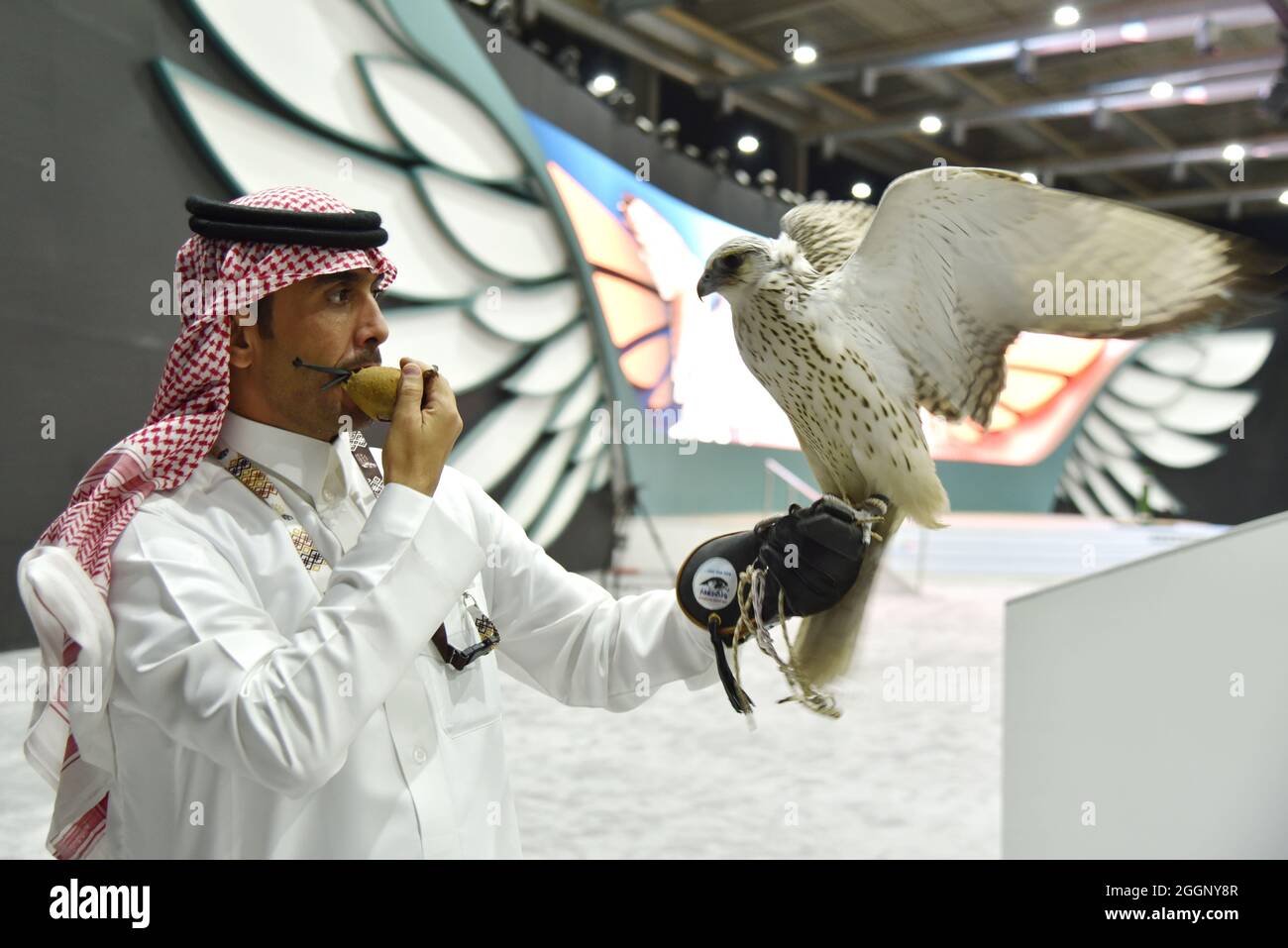 Saudi Falcon Auction Sees Ultra-White Hur Falcon Fetch $146,000