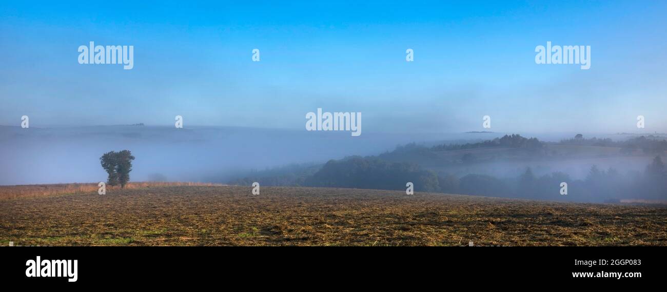 rural countryside landscape of central brittany on early misty summer morning in france Stock Photo