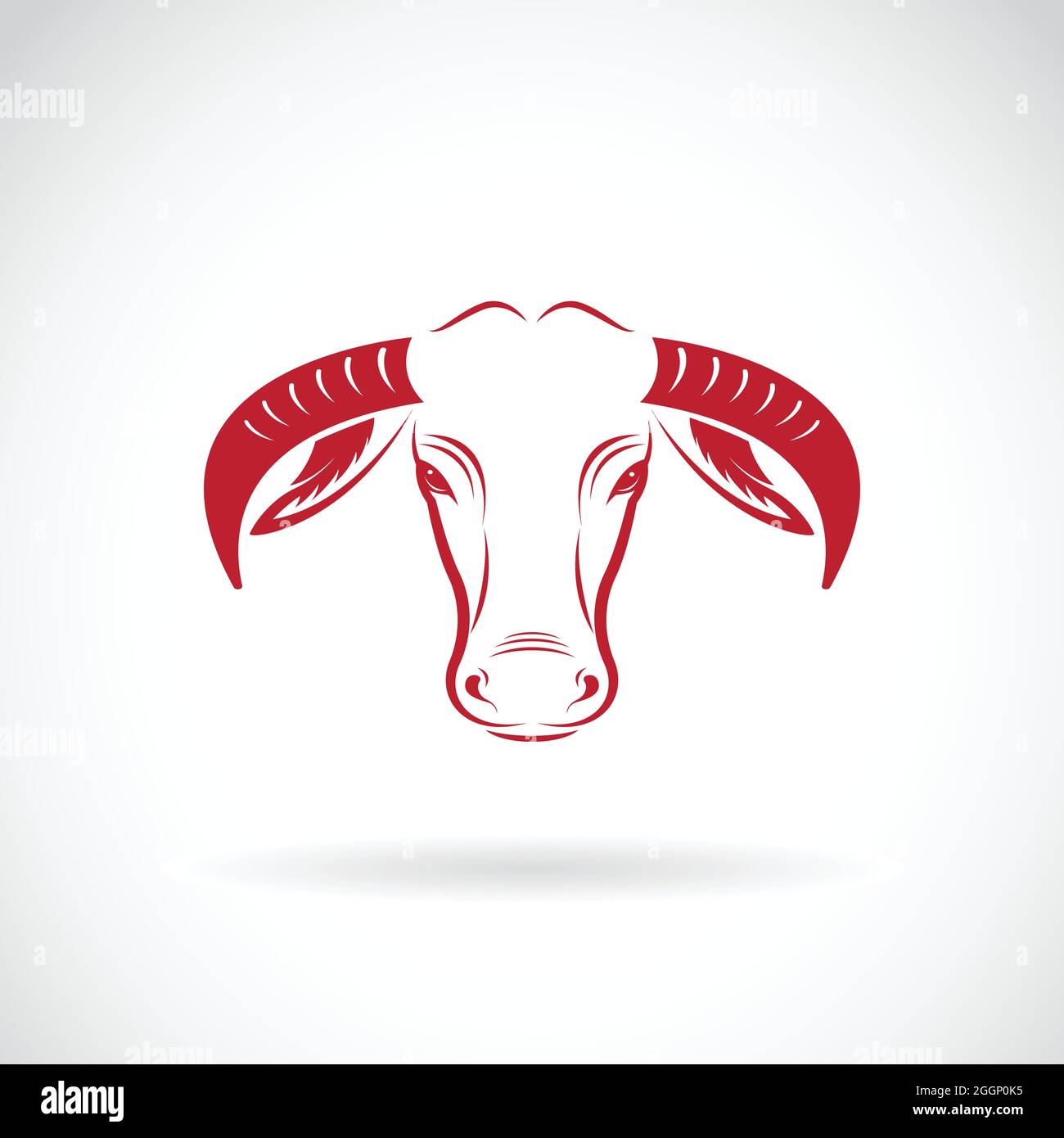 Vector of a buffalo head on white background. Wild Animals. Easy ...