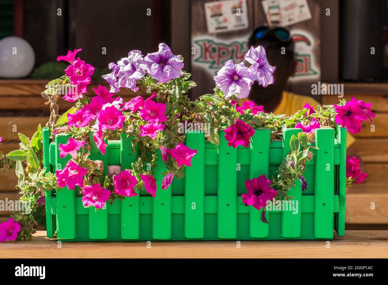 Outdoor flowers natural decorations outdoor plant nature decor street