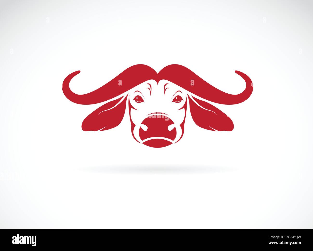 Vector image of an buffalo head on white background. Easy editable ...