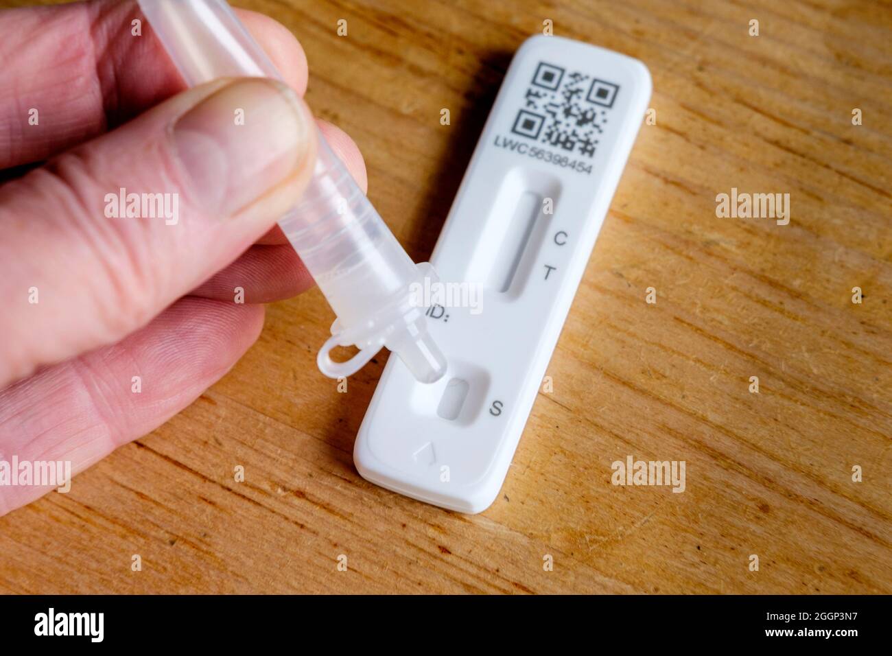 NHS Covid-19 Lateral Flow Self-Test, sample being added to test cassette. Stock Photo