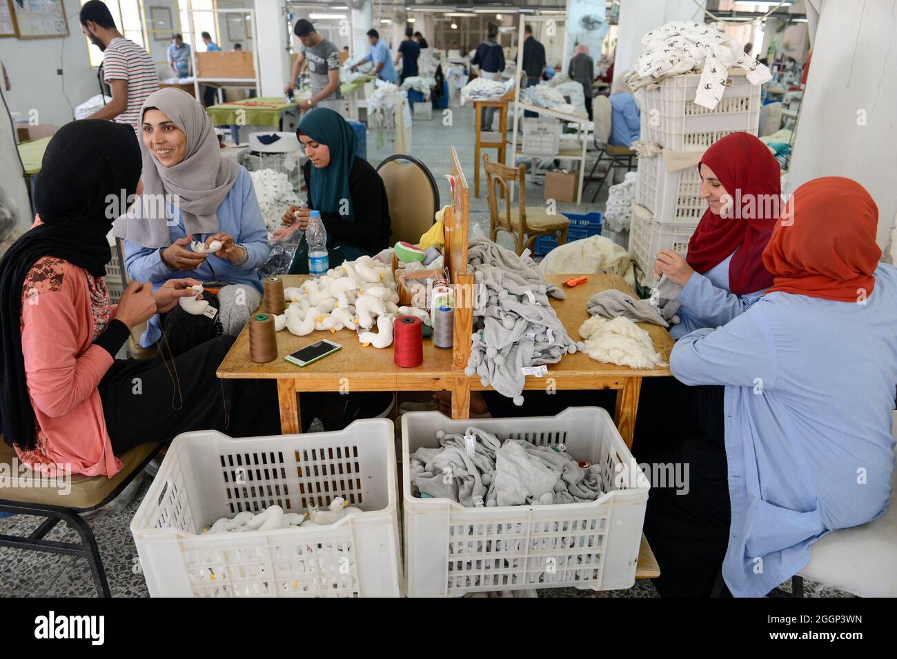 Egypt cotton farm hires stock photography and images Alamy