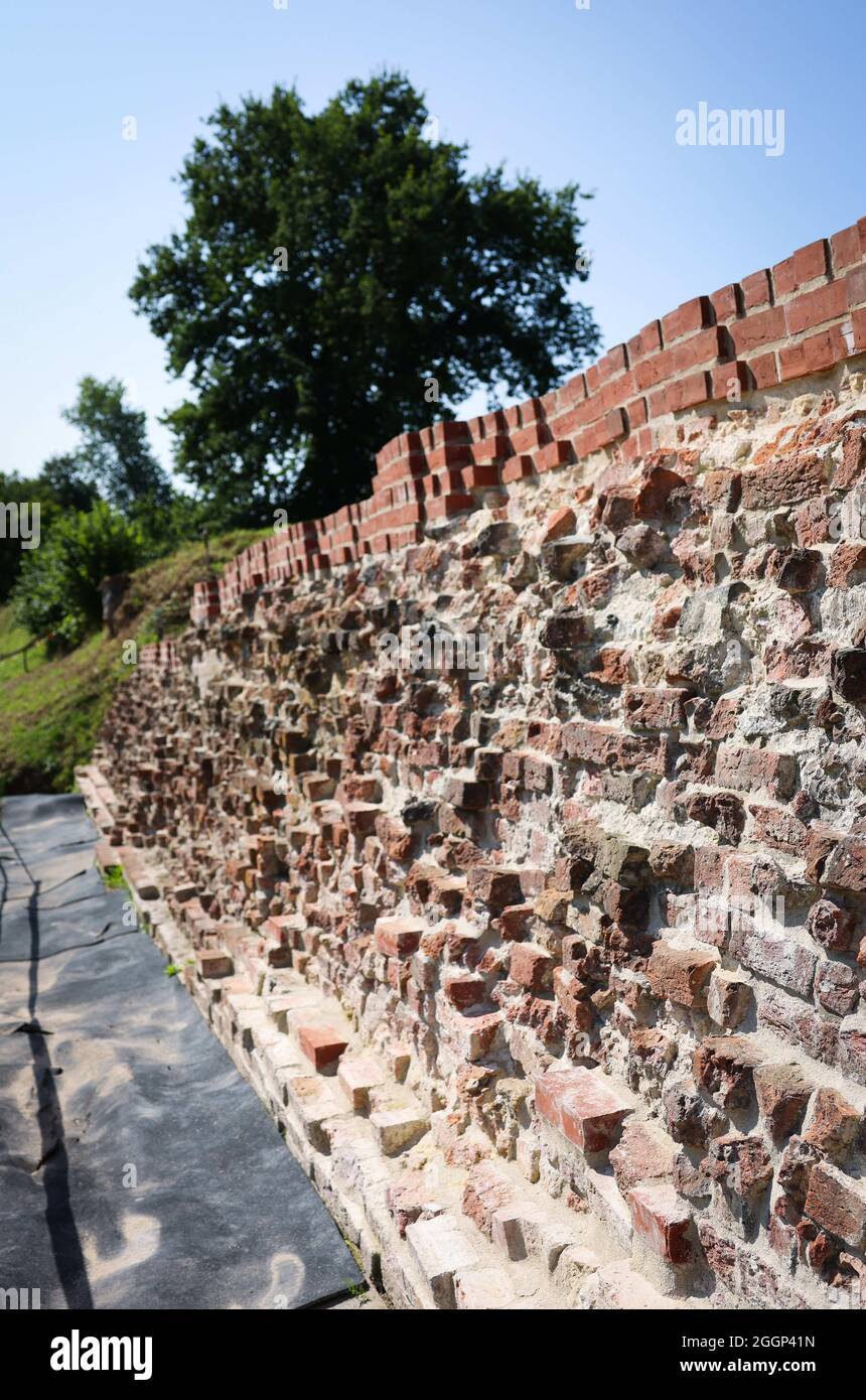 Dannewerk, Germany. 23rd Aug, 2021. The Waldemar Wall of the Viking site Danewerk. The medieval defensive fortifications of Danewerk originally consisted of earthen ramparts, walls, ditches and a barrage in the Schlei. The Danewerk (Danish: Danevirke or Dannevirke) is one of the largest archaeological monuments in Northern Europe and a UNESCO World Heritage Site since June 2018. Credit: Christian Charisius/dpa/Alamy Live News Stock Photo