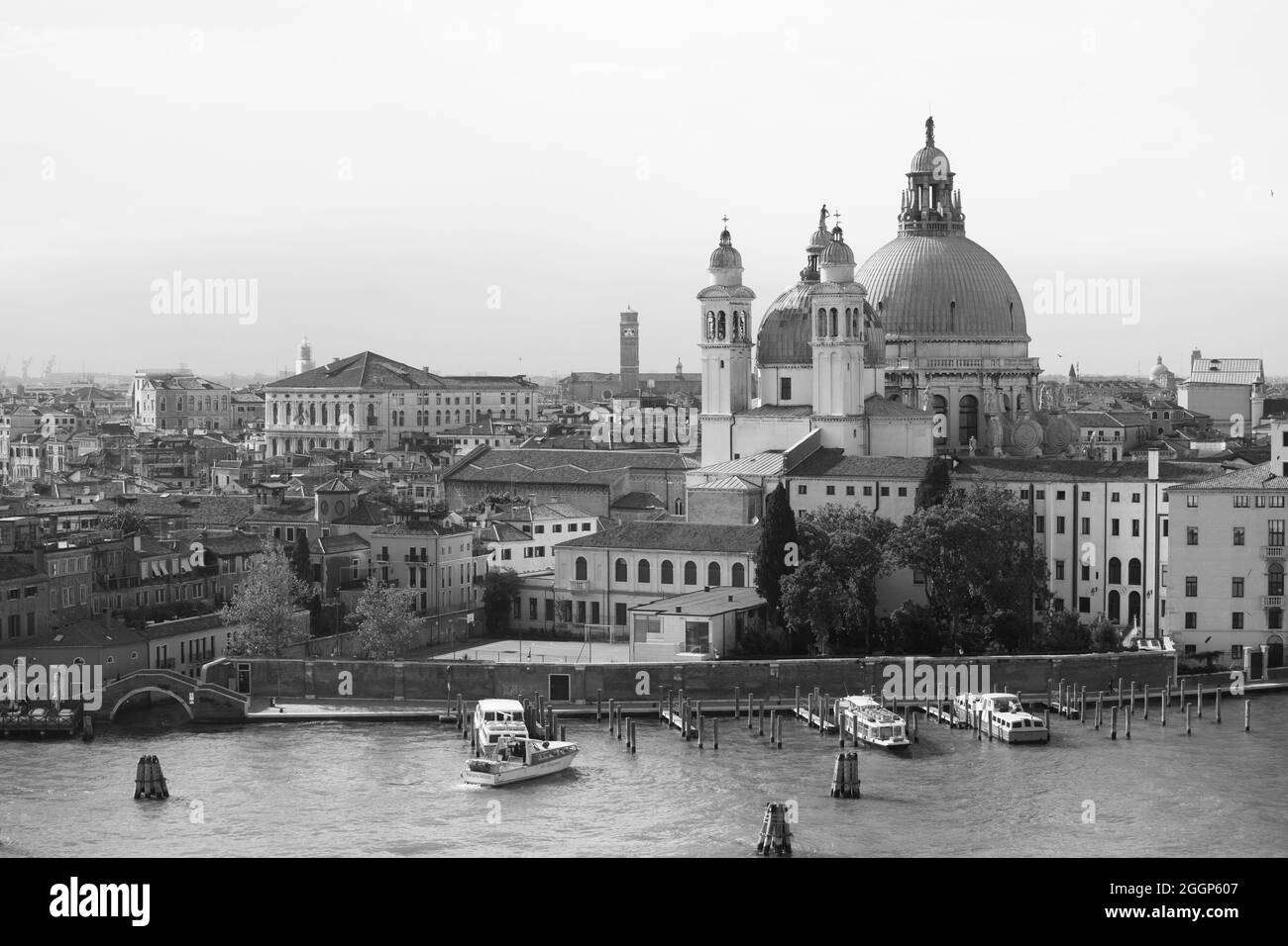 Santa Maria della Salute in Monochrome, Venice Stock Photo