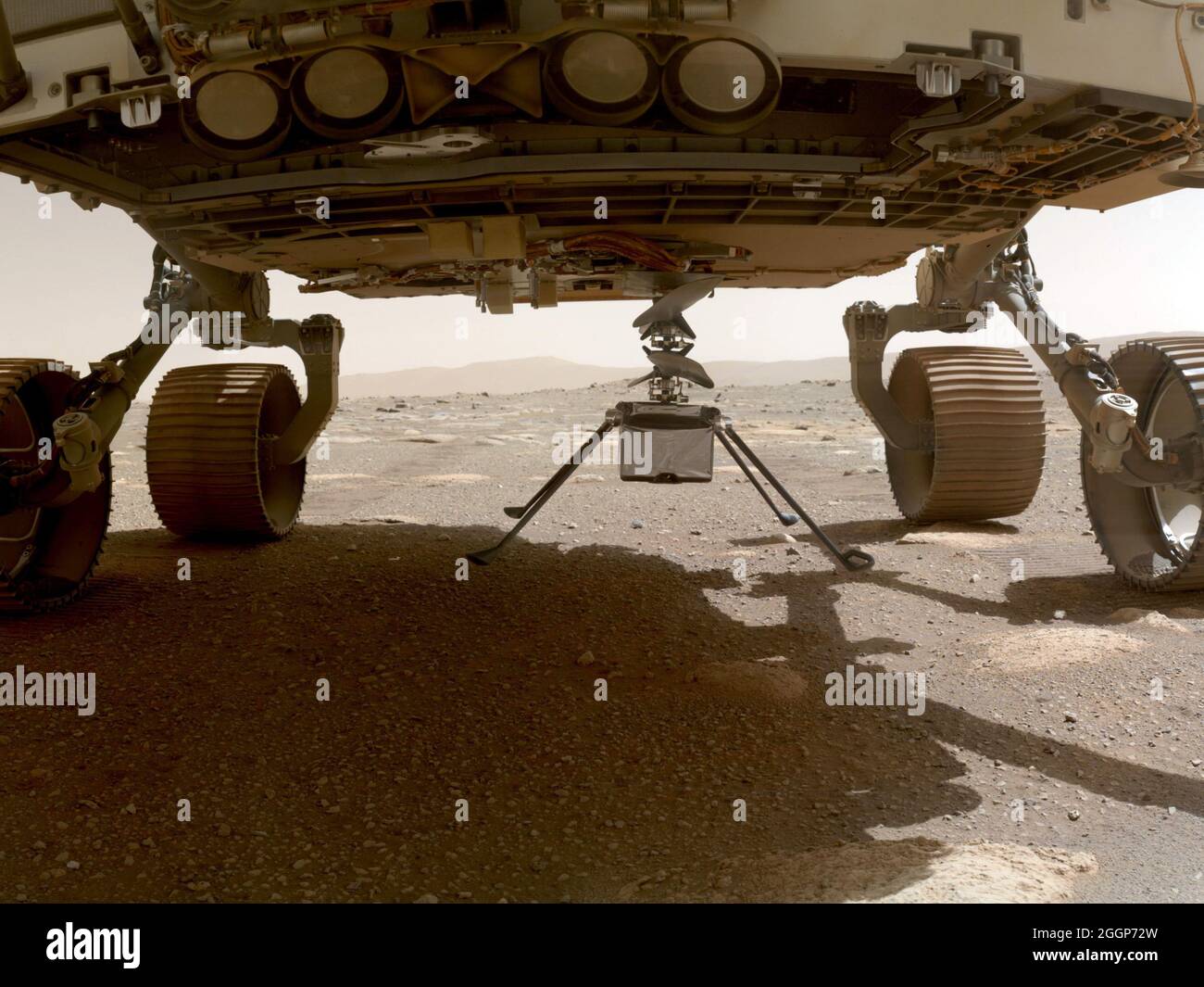NASA's Ingenuity helicopter, with all four of its legs deployed,  drops from the bottom of the Perseverance rover on March 30, 2021. Stock Photo