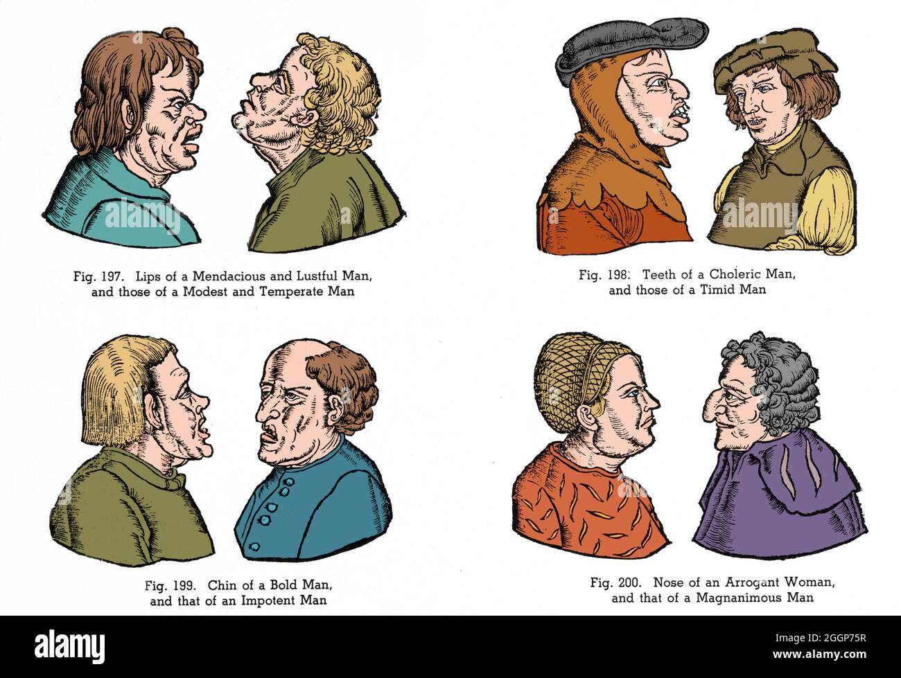Illustrations of medieval stereotypes of personalities based on facial features. The pseudoscience of physiognomy is the assessment of a person's character or personality from his or her outer appearance, especially the face. Color enhanced. Stock Photo